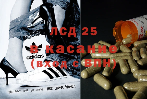 MESCALINE Горняк