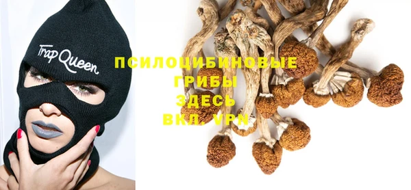 кристаллы Няндома